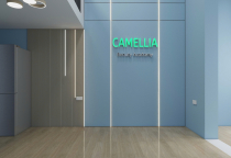 Tấm Ốp Than Tre Gò Vấp 